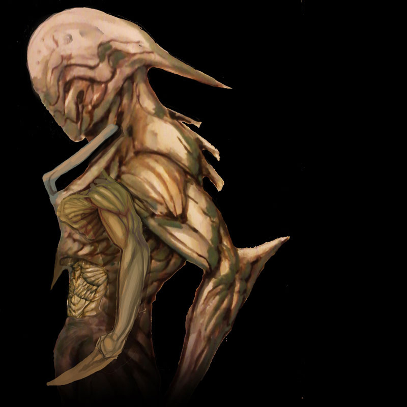 morph