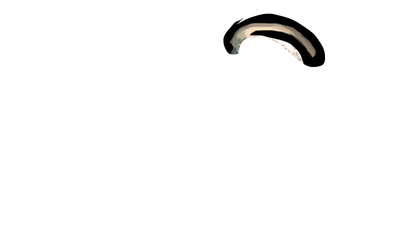 overlay-2