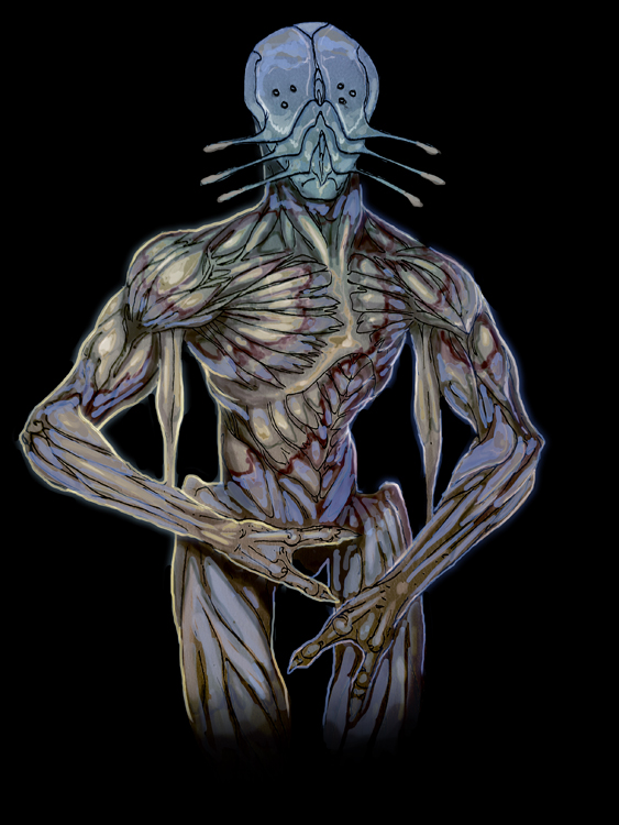 morph