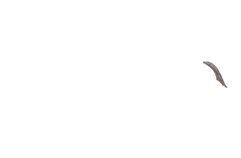 overlay-2