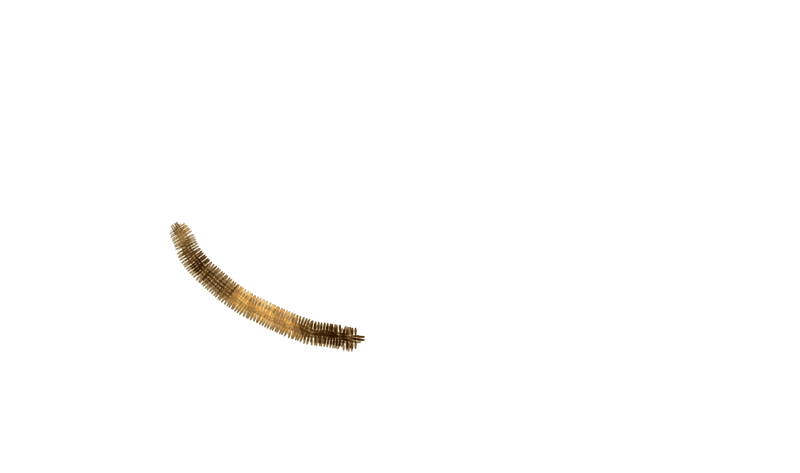 overlay-2