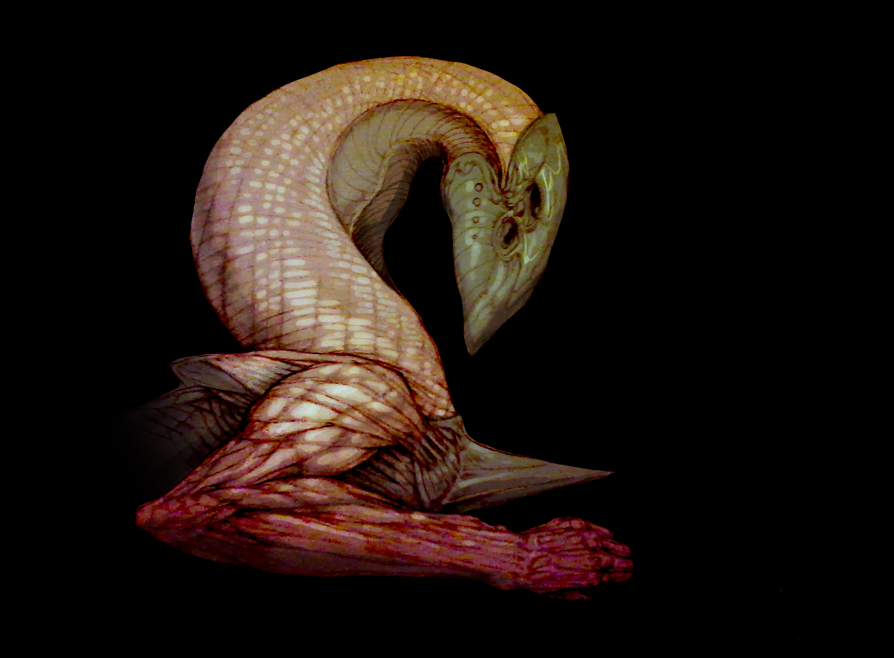 morph