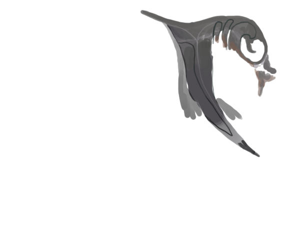 overlay-2