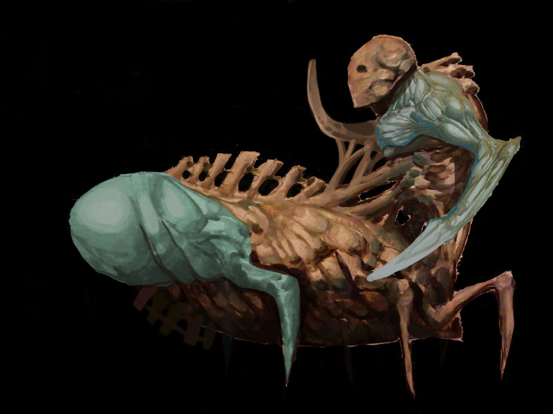 morph